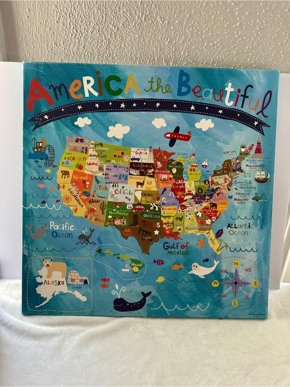 Oopsy Daisy America the Beautiful Map 21x21 canvas wall art like new condition